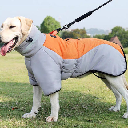 New Winter Dog Coat. Waterproof pet clothes for medium and large dogs. Warm, thick dog vest. Custom Labrador jacket